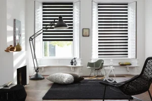 window-blinds-20-duo-vision-twist